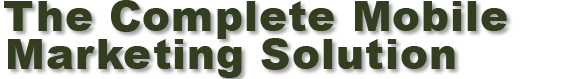 Mobile real estate marketing with SPS